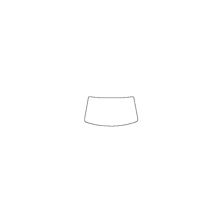 Windshield