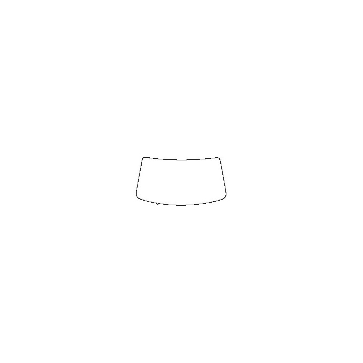 Windshield