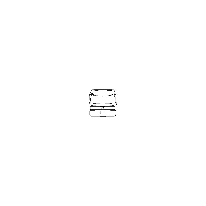 Trunk Lid