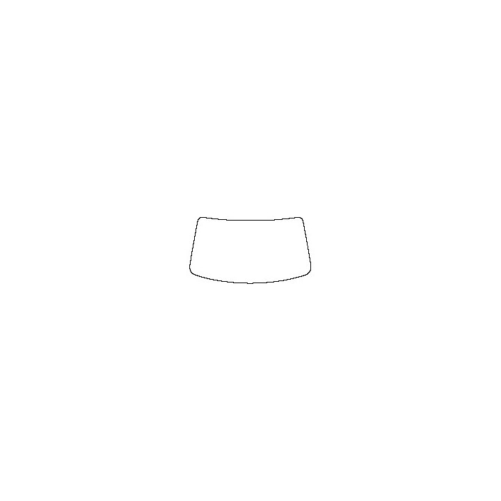 Windshield (inside)