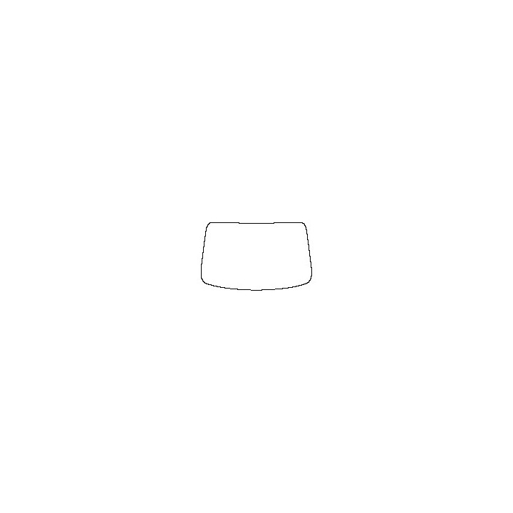 Windshield (inside)