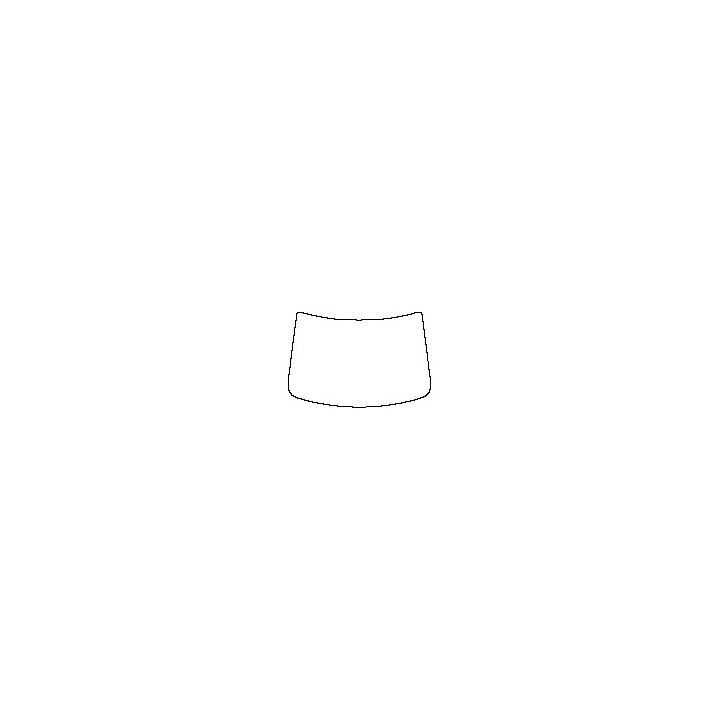 Windshield