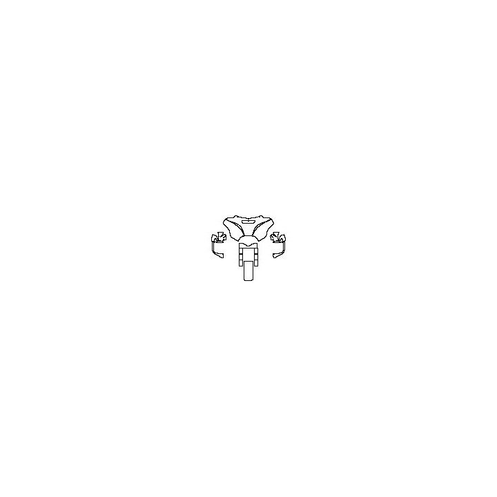head of motorcycle