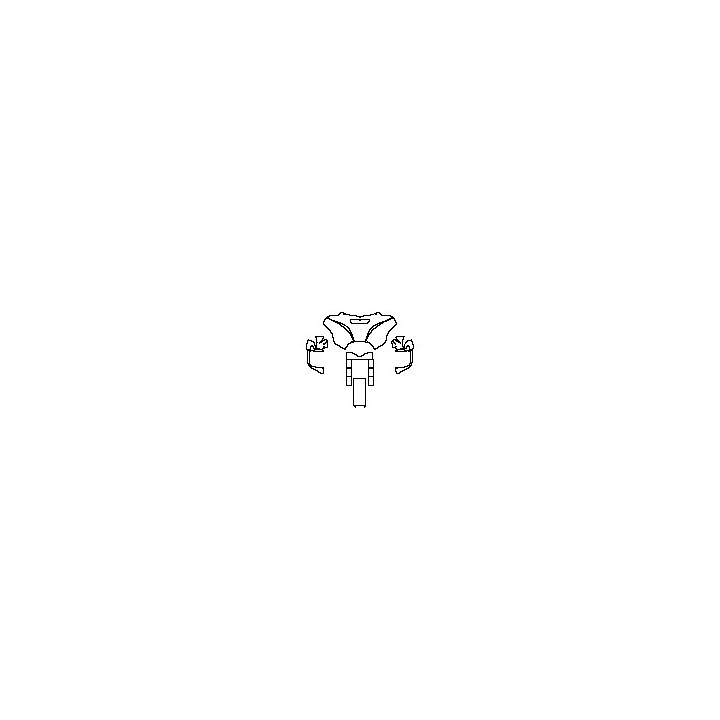 head of motorcycle