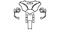 head of motorcycle