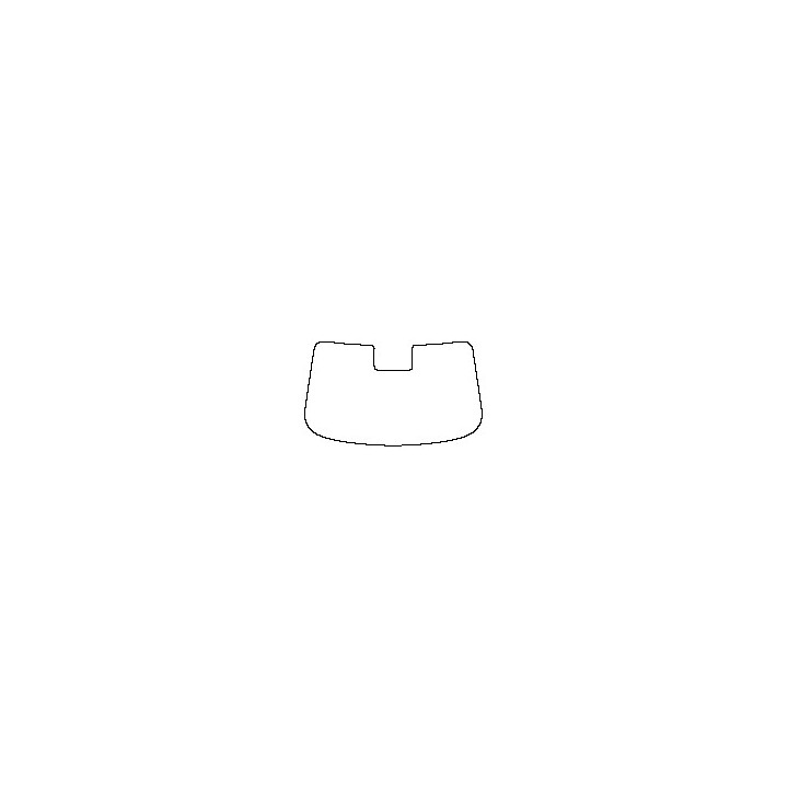 Exeed Exeed TX Window 2019 - Windshield (with mirror and dotted area cutout)