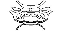 Bumper+Headlamp