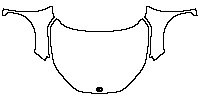 Lexus LBX (EU) Exterior 2024 - Hood+Fender